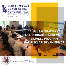 Organizasyon Komitesi Toplantısı